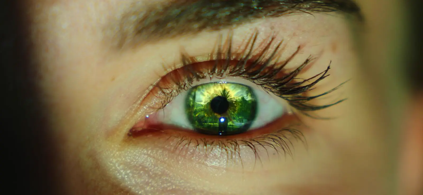 Paradise Resort Experience